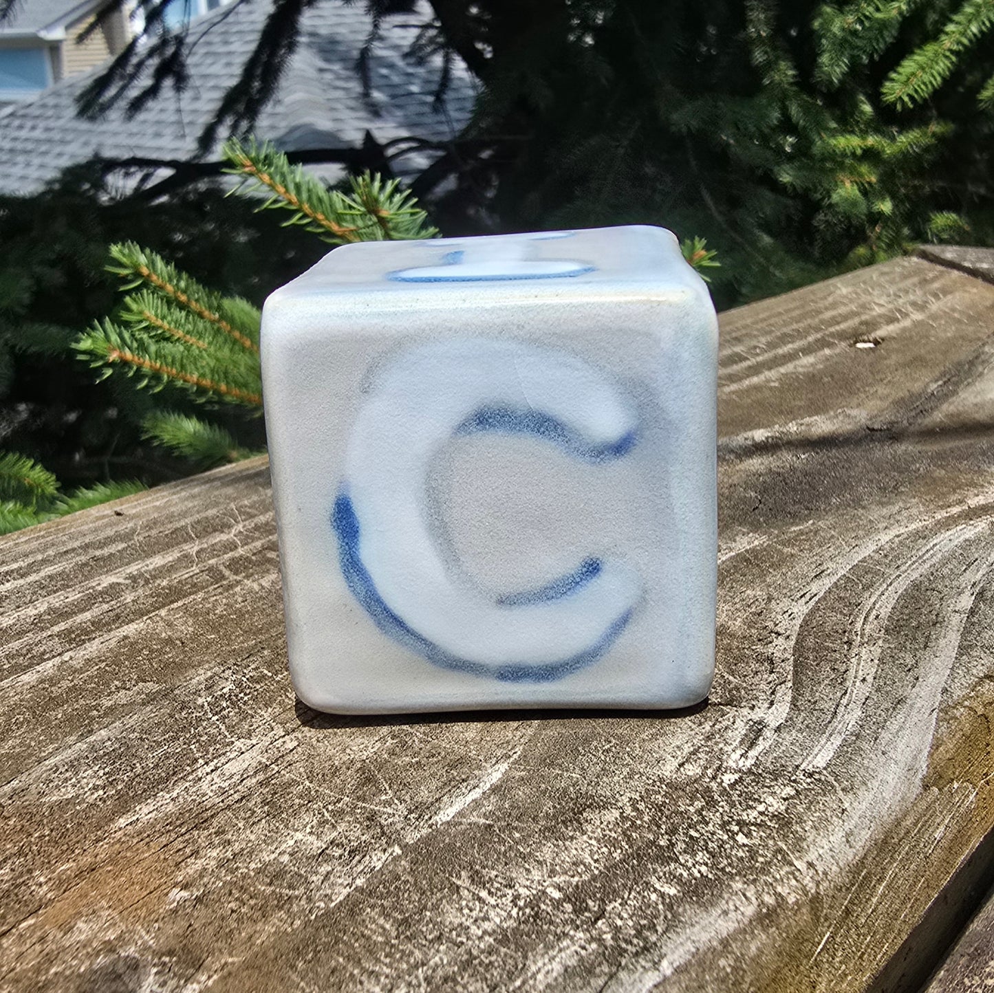 FUCK ICE Cube