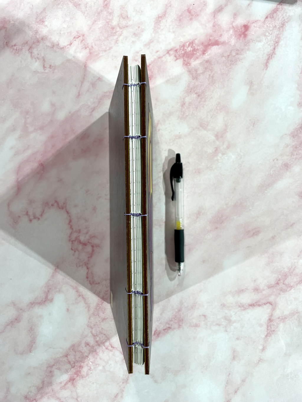 Spider Coffin Journal