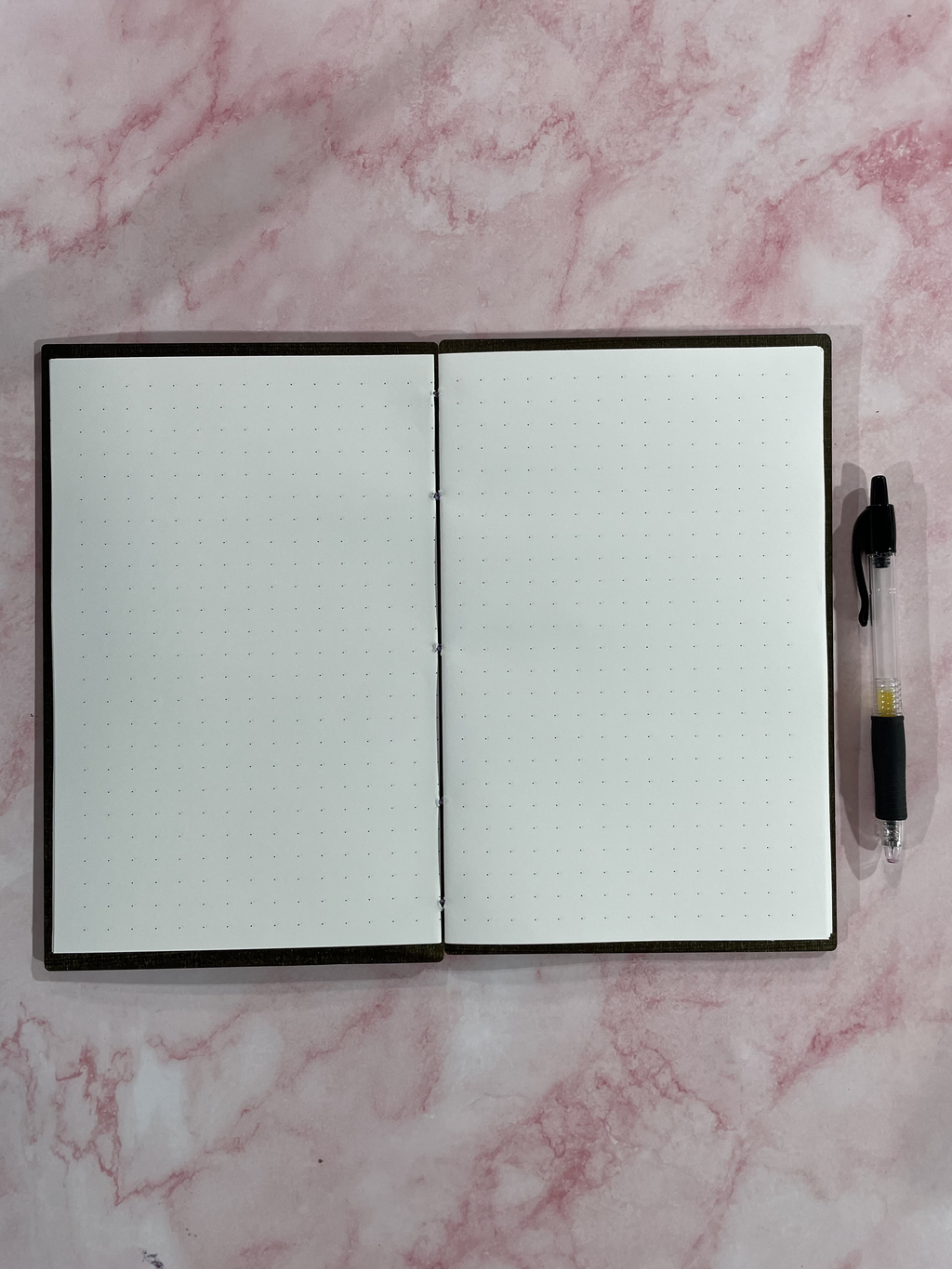 Spider Coffin Journal