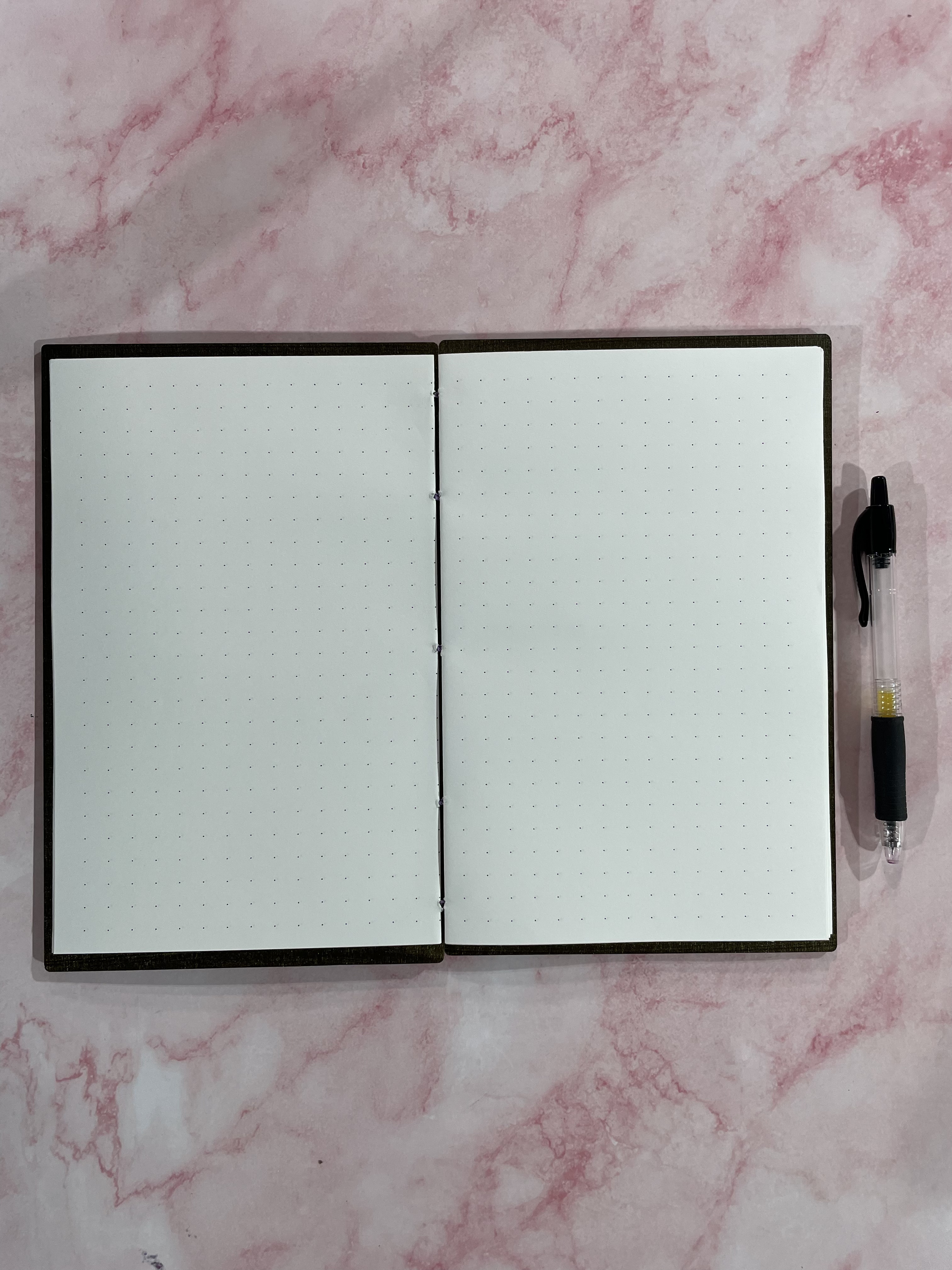 Spider Coffin Journal