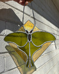 Luna Moth - Stained Glass Suncatcher