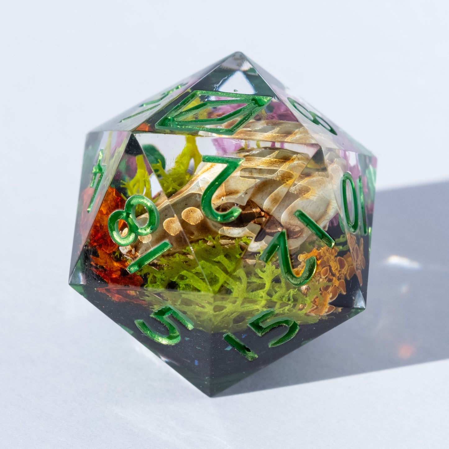 Gentle Repose - 24mm D20