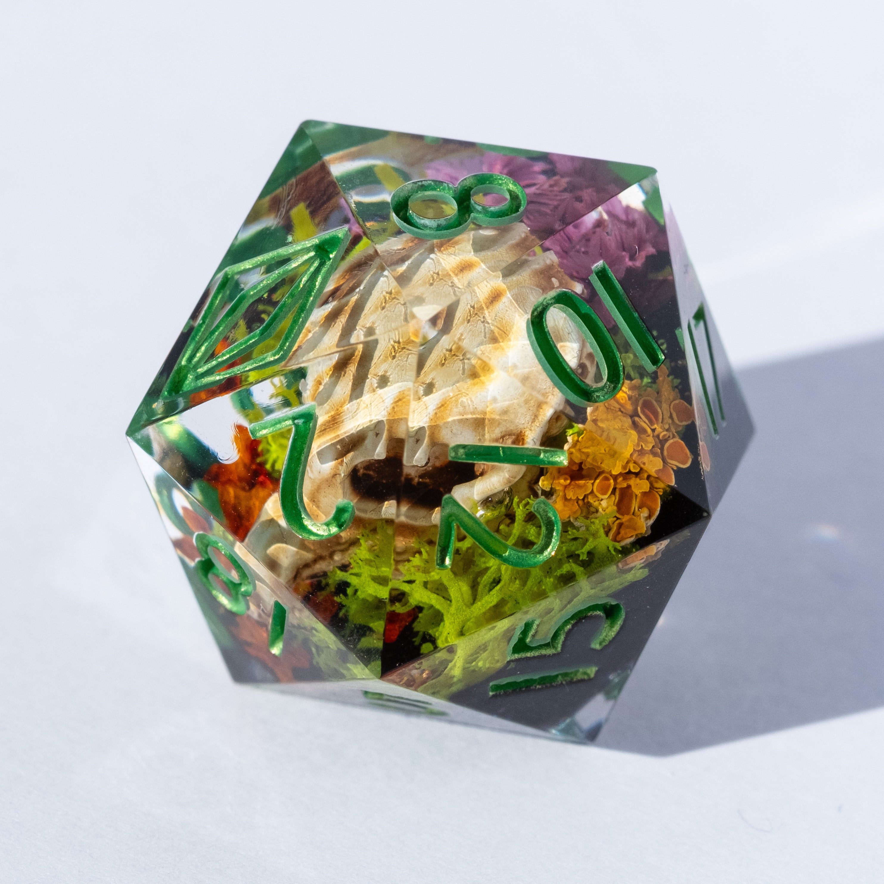 Gentle Repose - 24mm D20